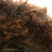 Папаха горская козий коричневый мех, Дагестан - 2qIMG_0721.jpg